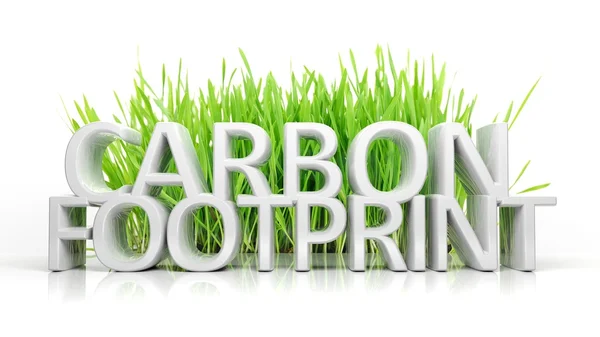Carbon Footprint in manufacturing