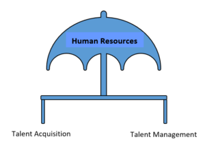 Talent Acquisition VS Talent Management